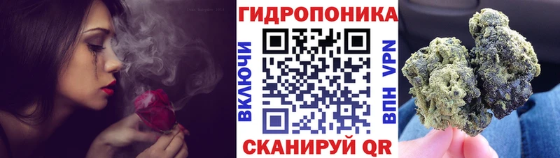 Купить наркоту Грязовец ГАШИШ  Марихуана  Галлюциногенные грибы  Меф мяу мяу 