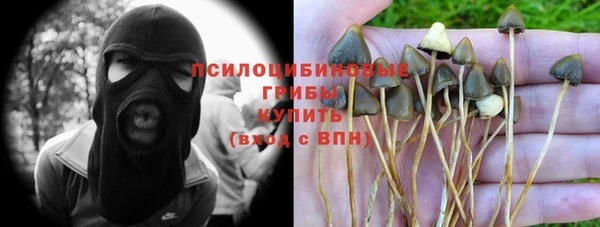 первитин Алексин