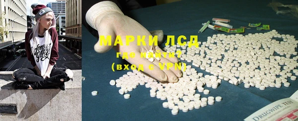 спайс Алзамай