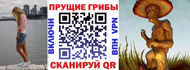Псилоцибиновые грибы GOLDEN TEACHER Грязовец